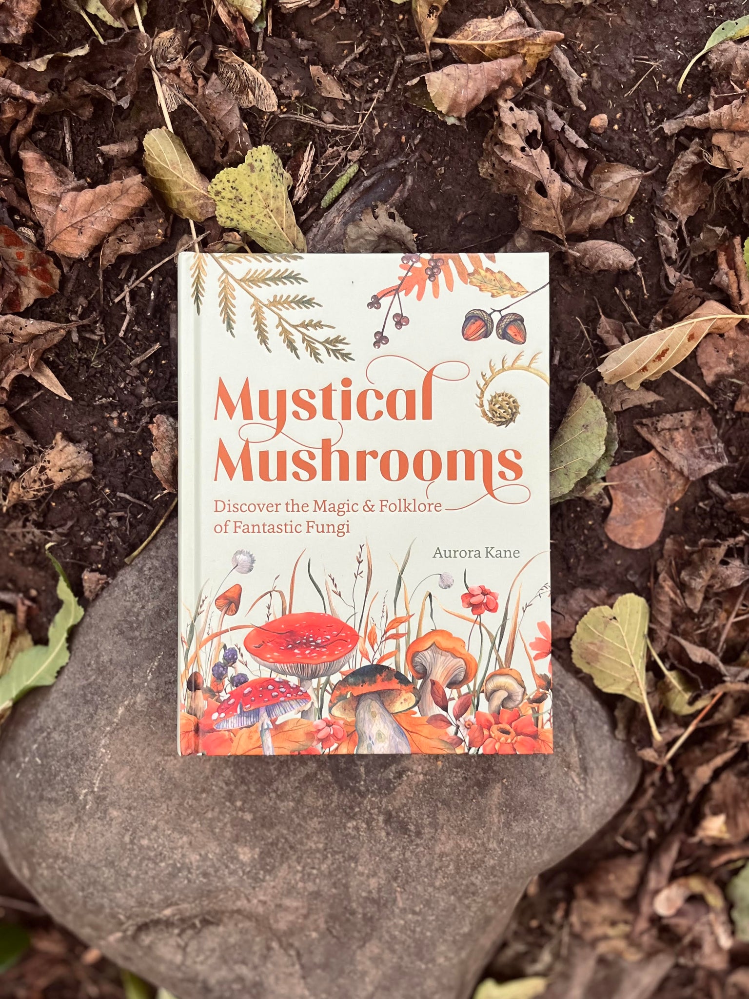 Mystical Mushrooms (hardback)