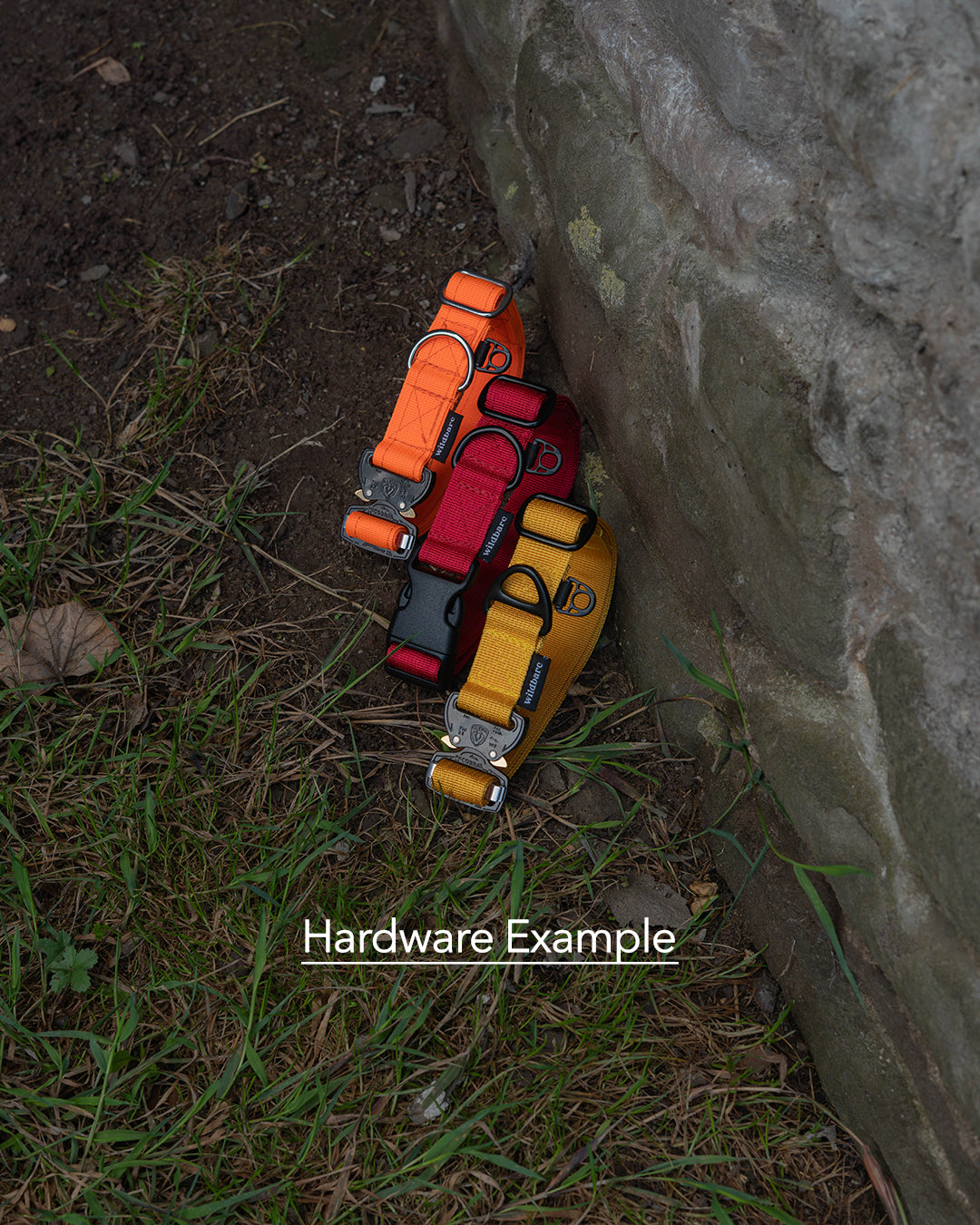 Outpost Waterproof Dog Collar