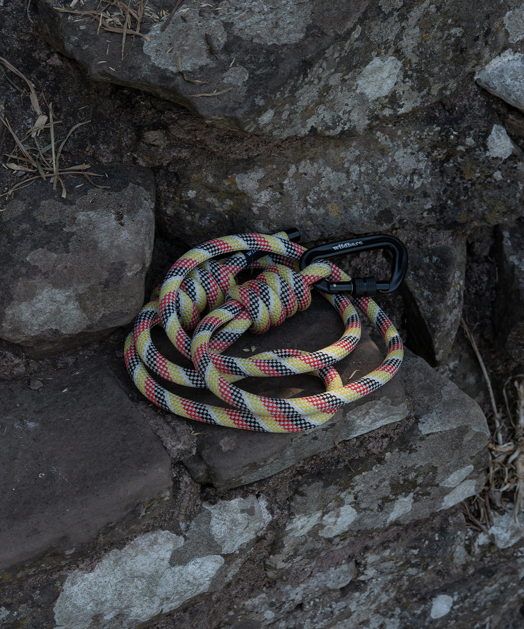 cellan-climbing-rope-lead-4.jpg