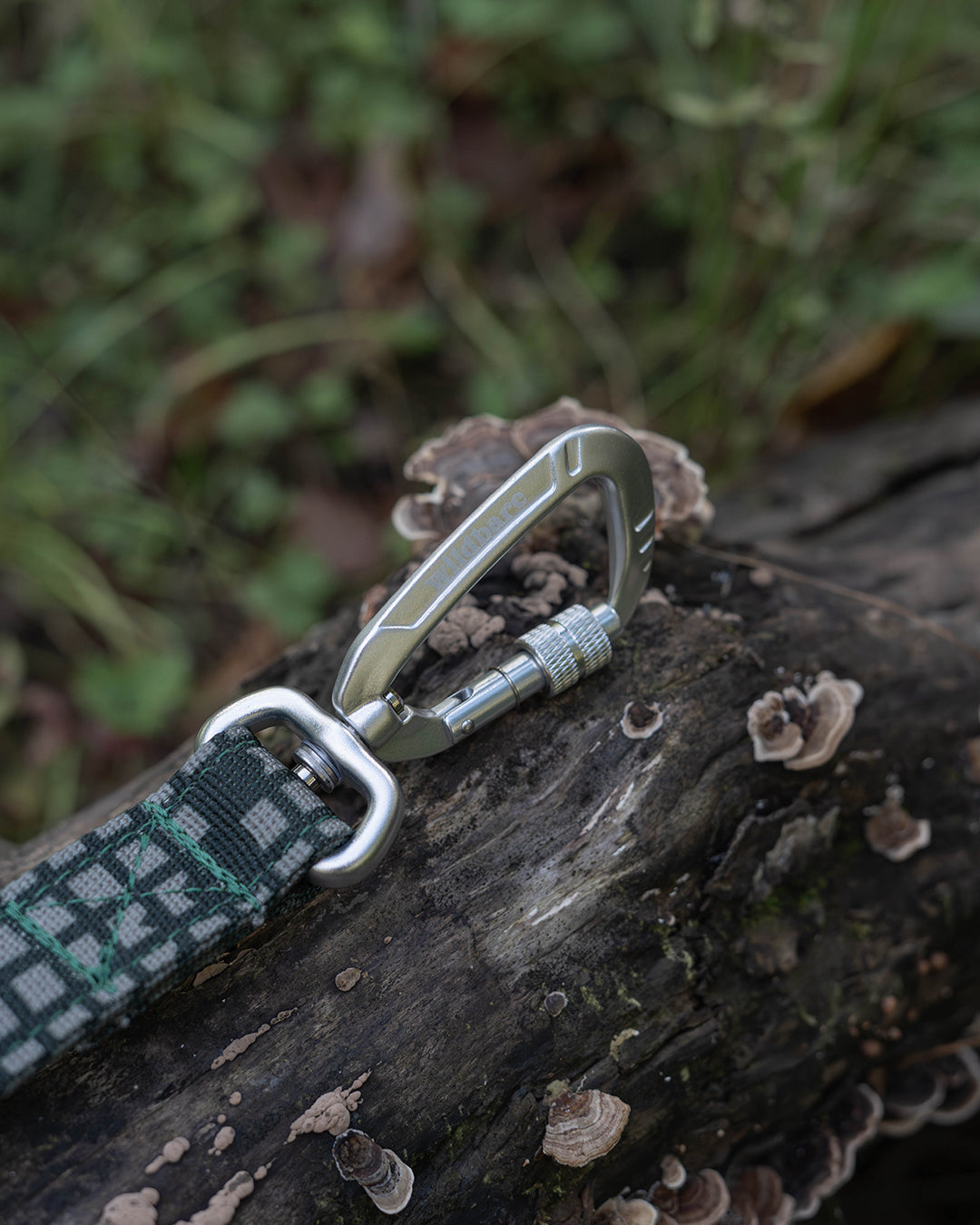 Outpost Waterproof Dog Lead