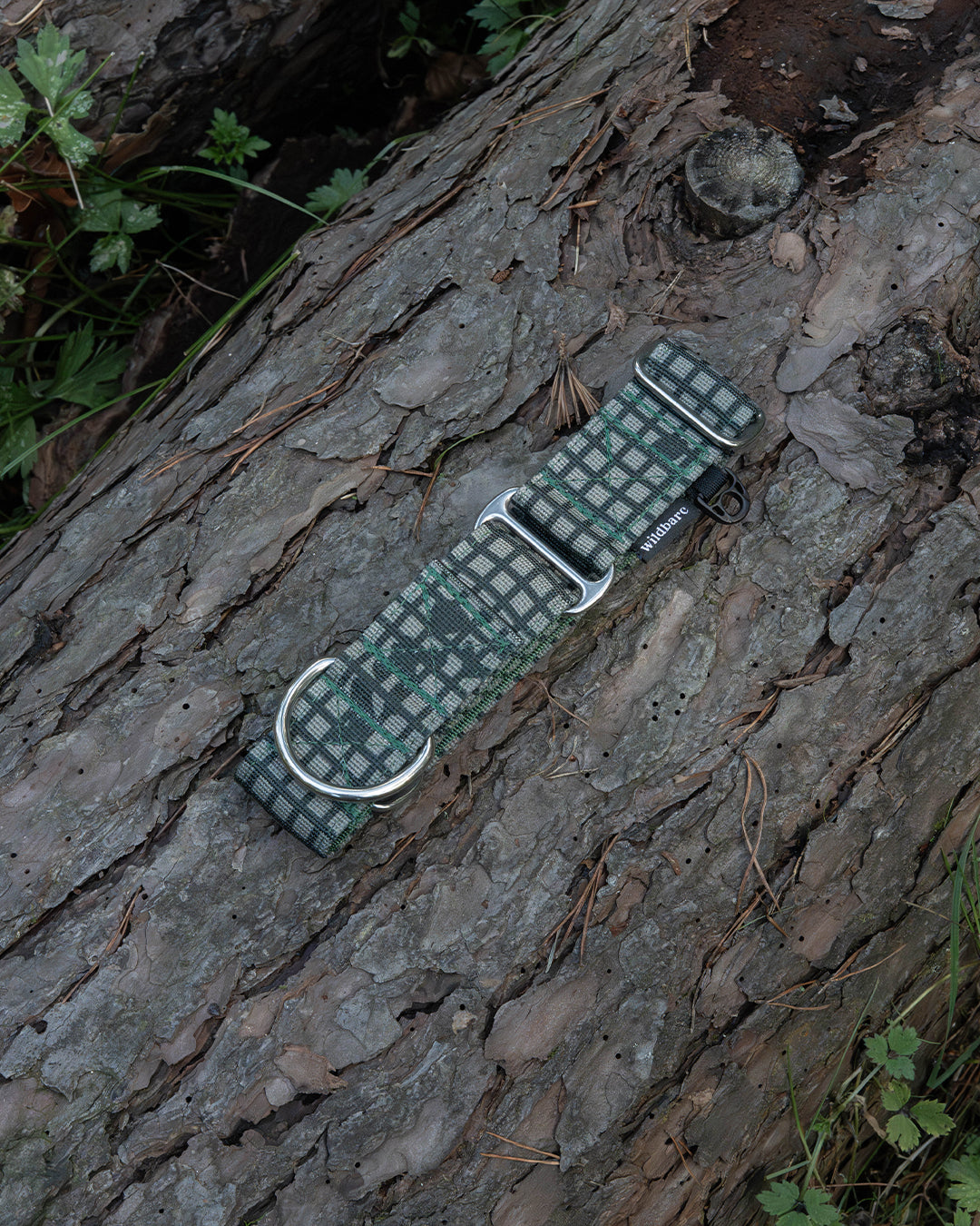 Outpost Waterproof Martingale Dog Collar