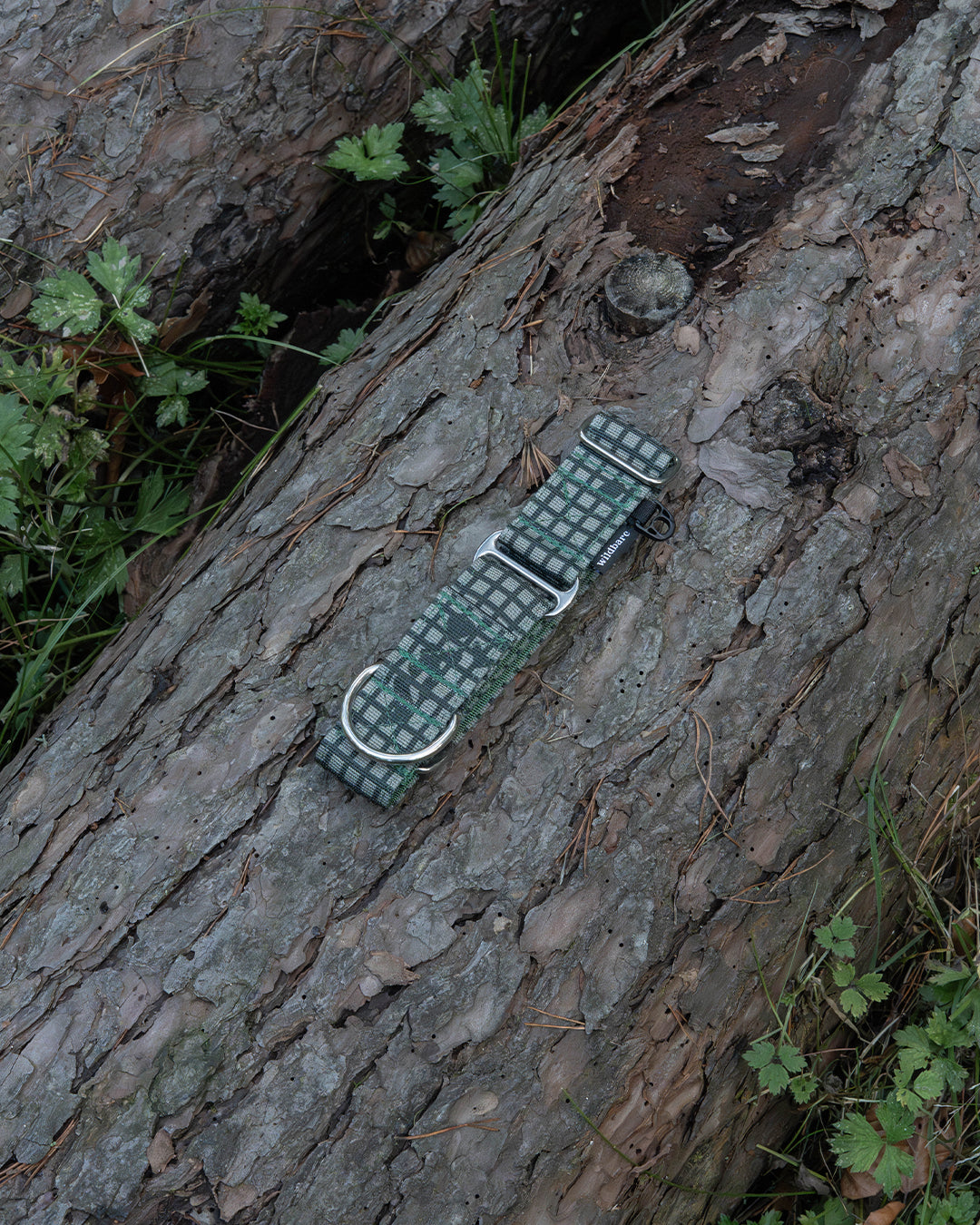 Outpost Waterproof Martingale Dog Collar