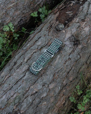 Outpost Waterproof Martingale Dog Collar