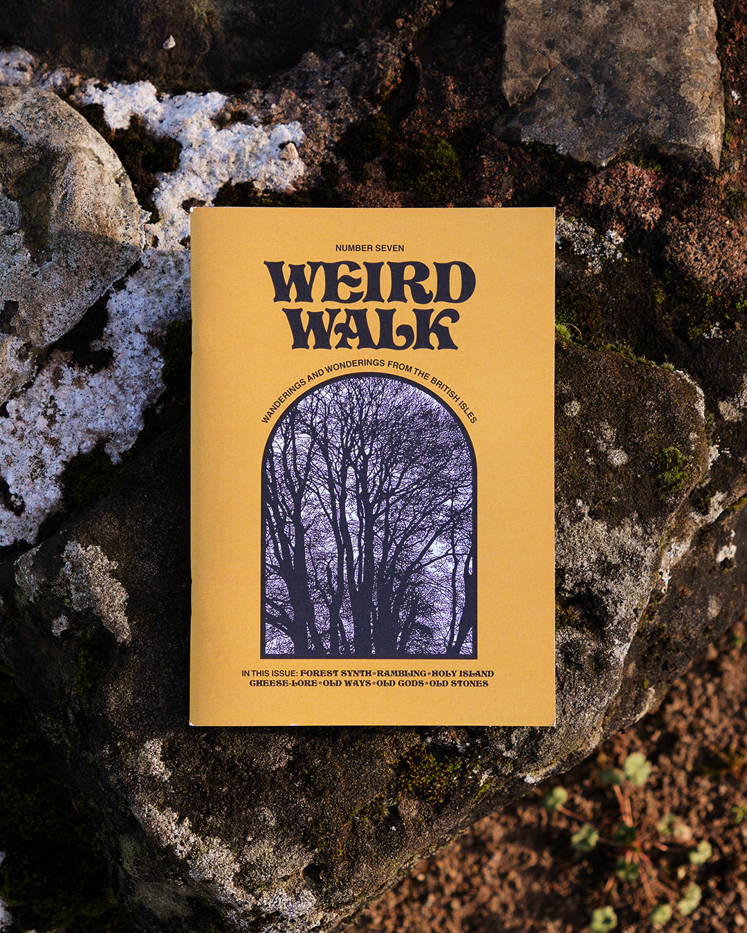 Weird Walk: Issue Seven