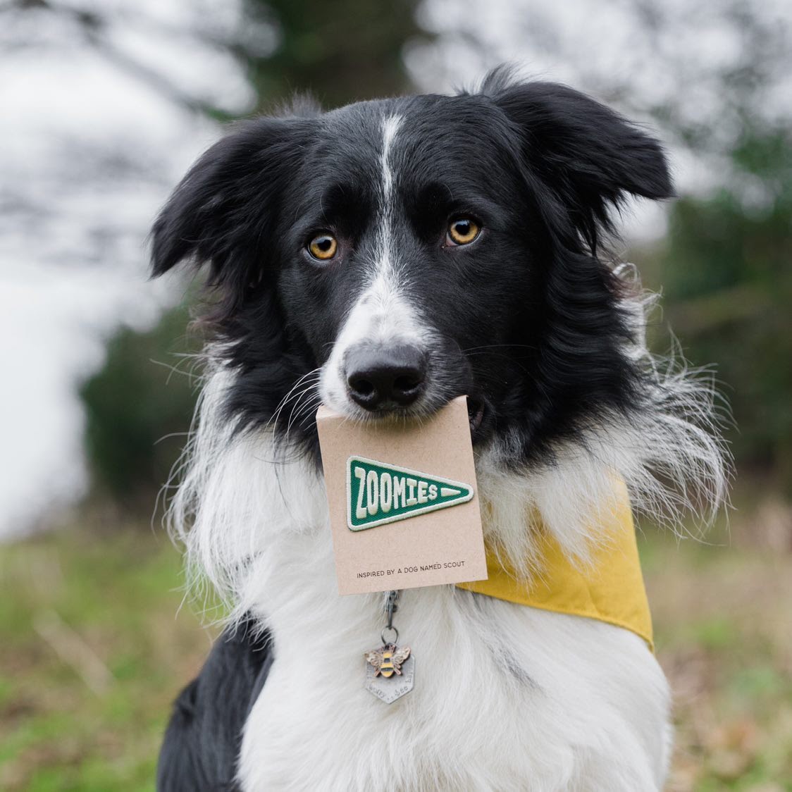 Fresh goods for you & your four legged sidekick!
