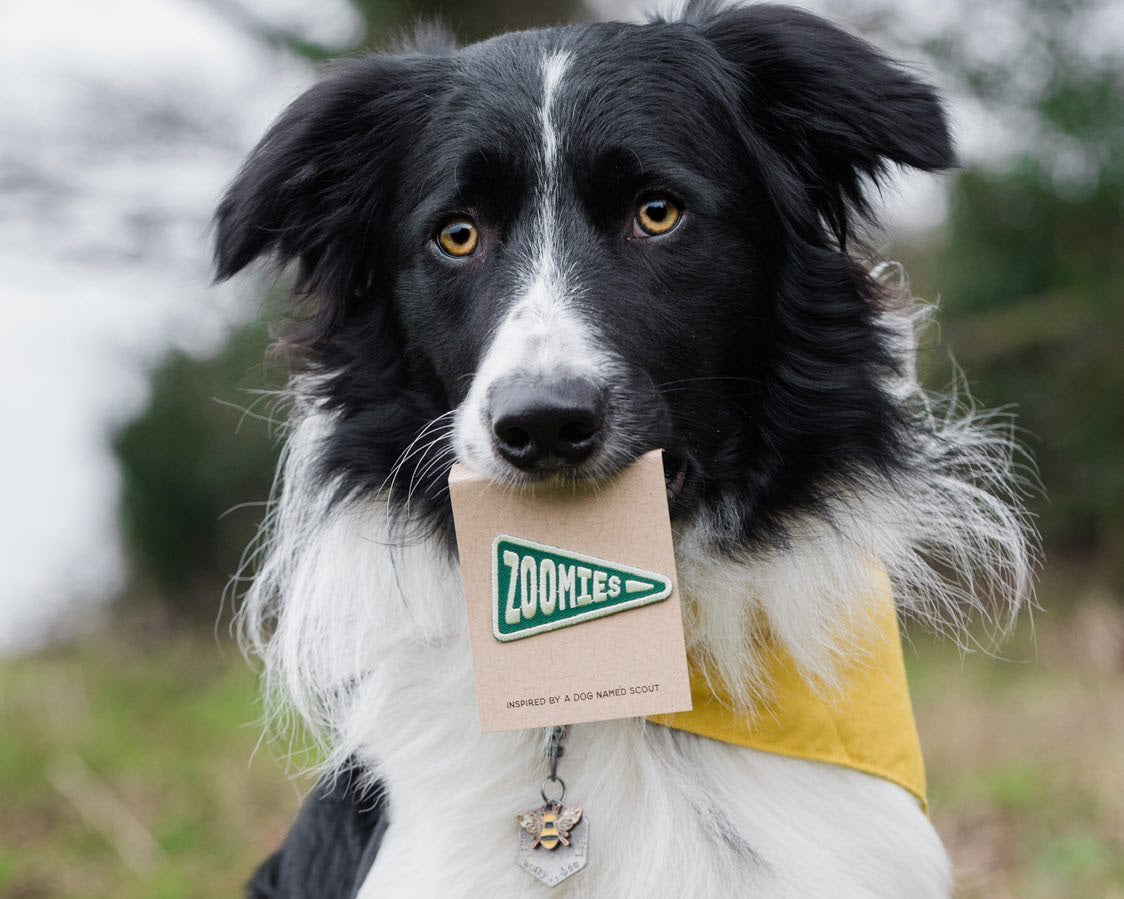 Fresh goods for you & your four legged sidekick!