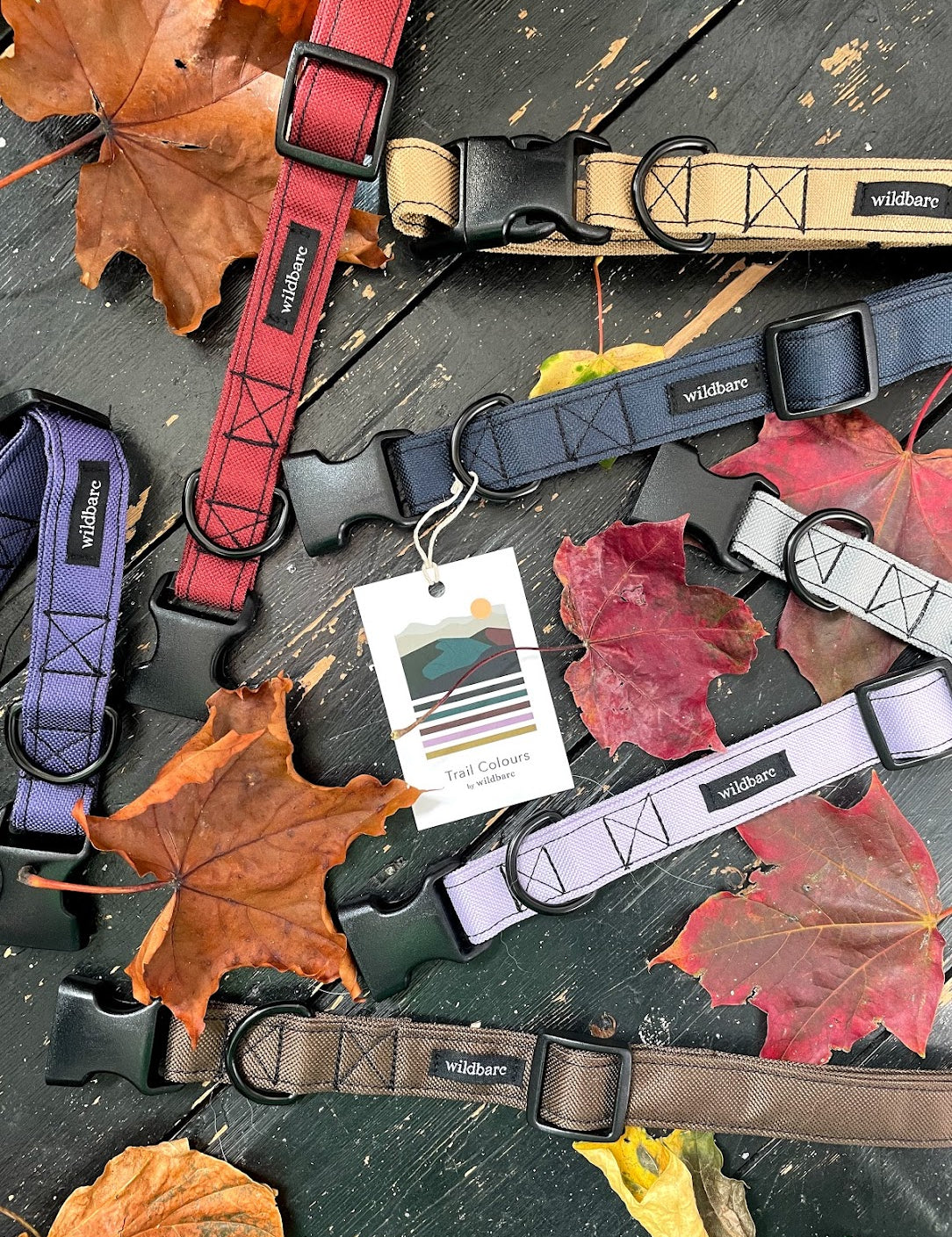 Our latest collection... Autumn Trail Colours