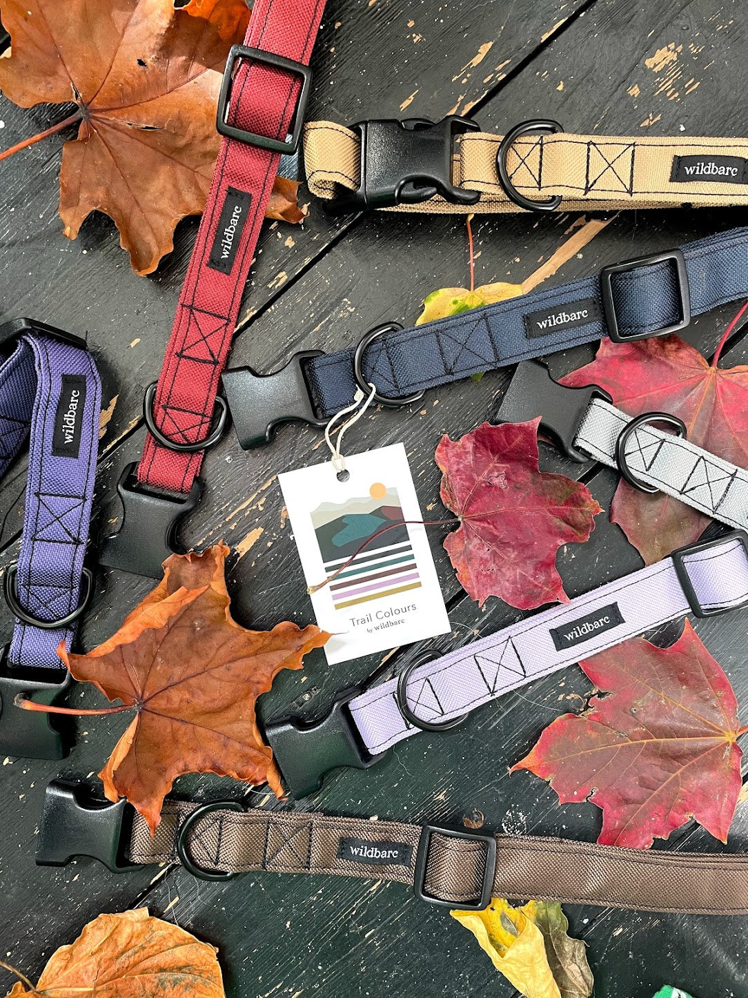 Our latest collection... Autumn Trail Colours