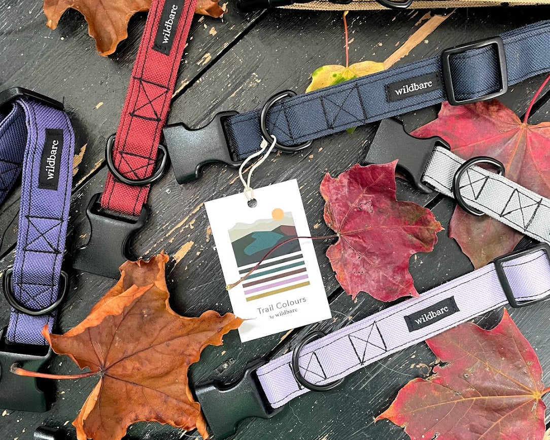 Our latest collection... Autumn Trail Colours