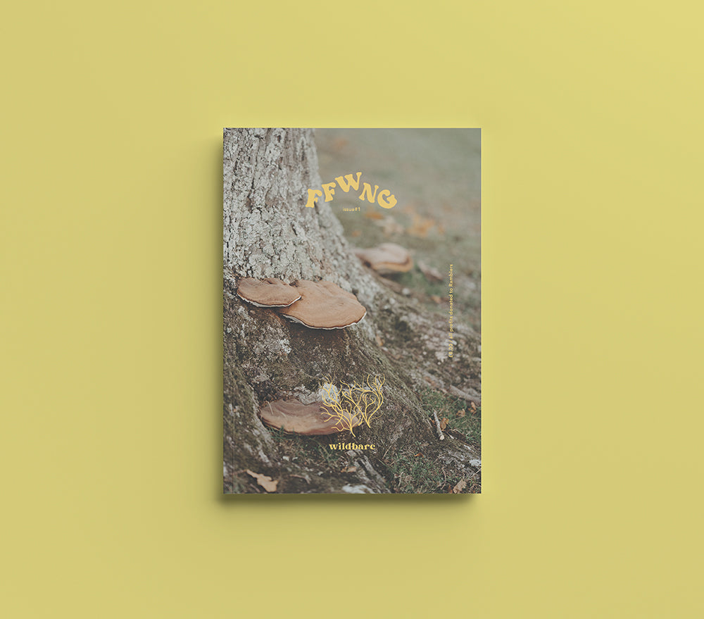 October Fungi Photo Challenge