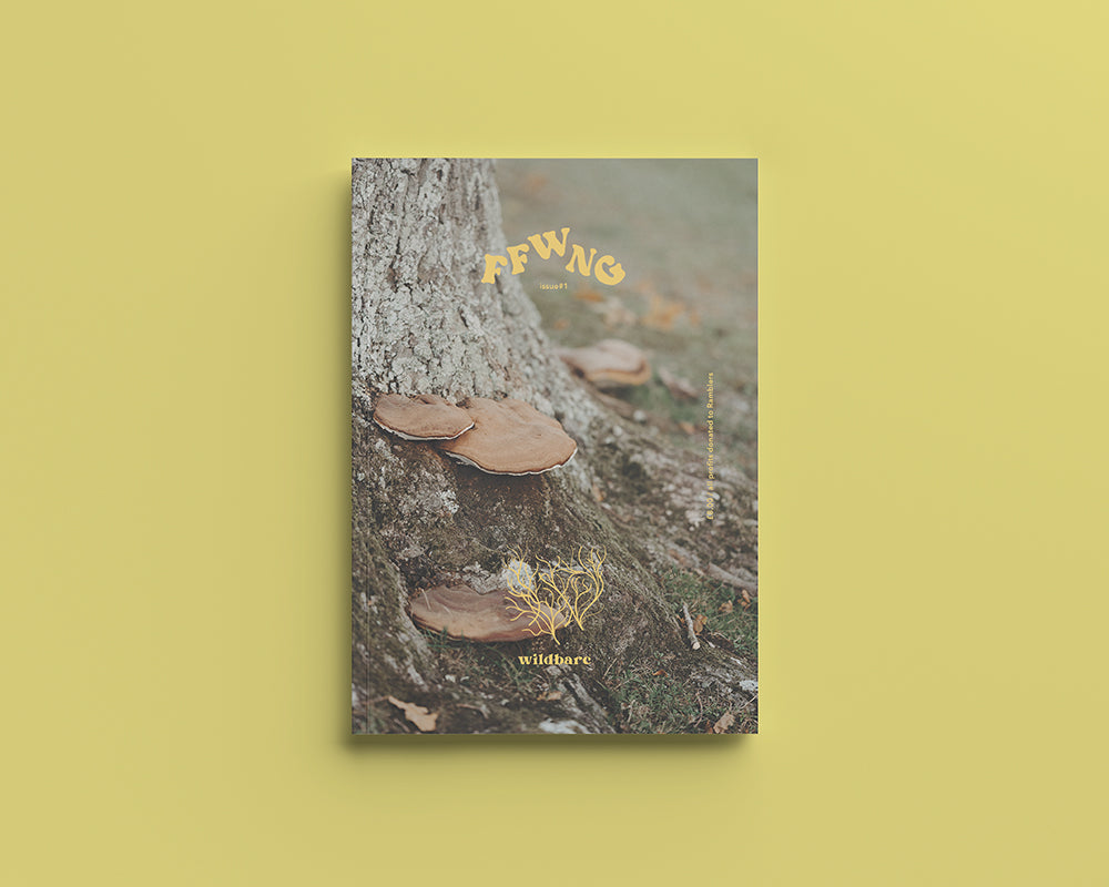 October Fungi Photo Challenge