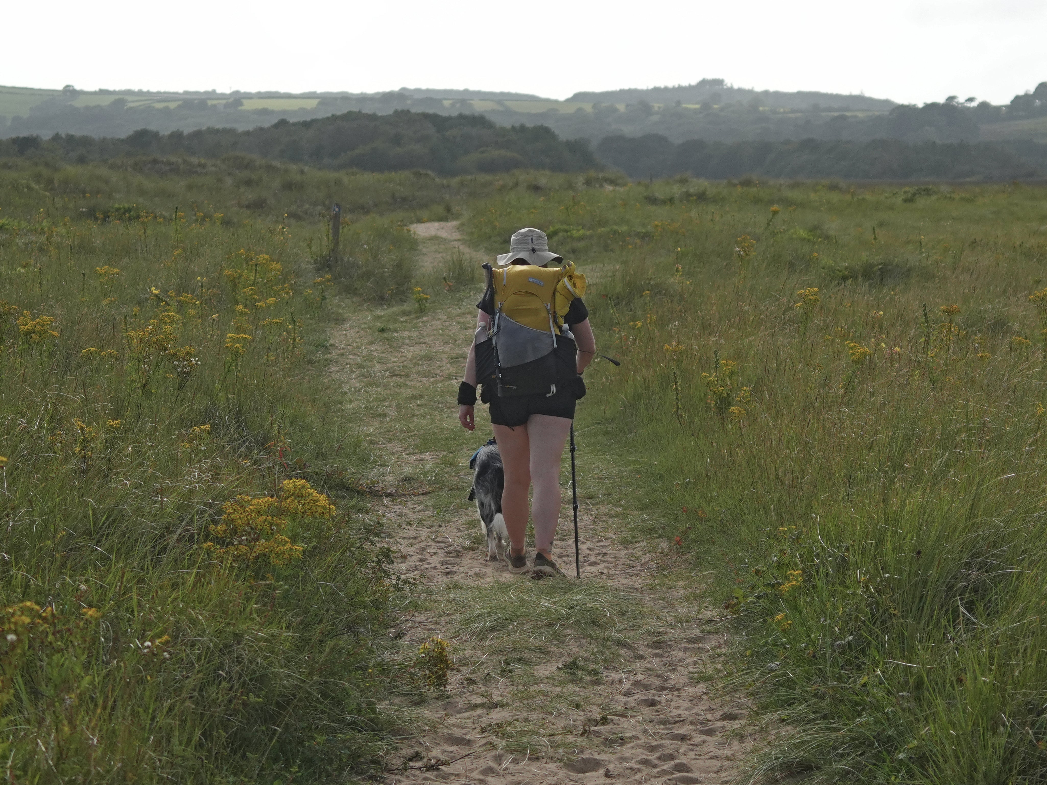 How Much Weight Can a Dog Carry on a Hike?