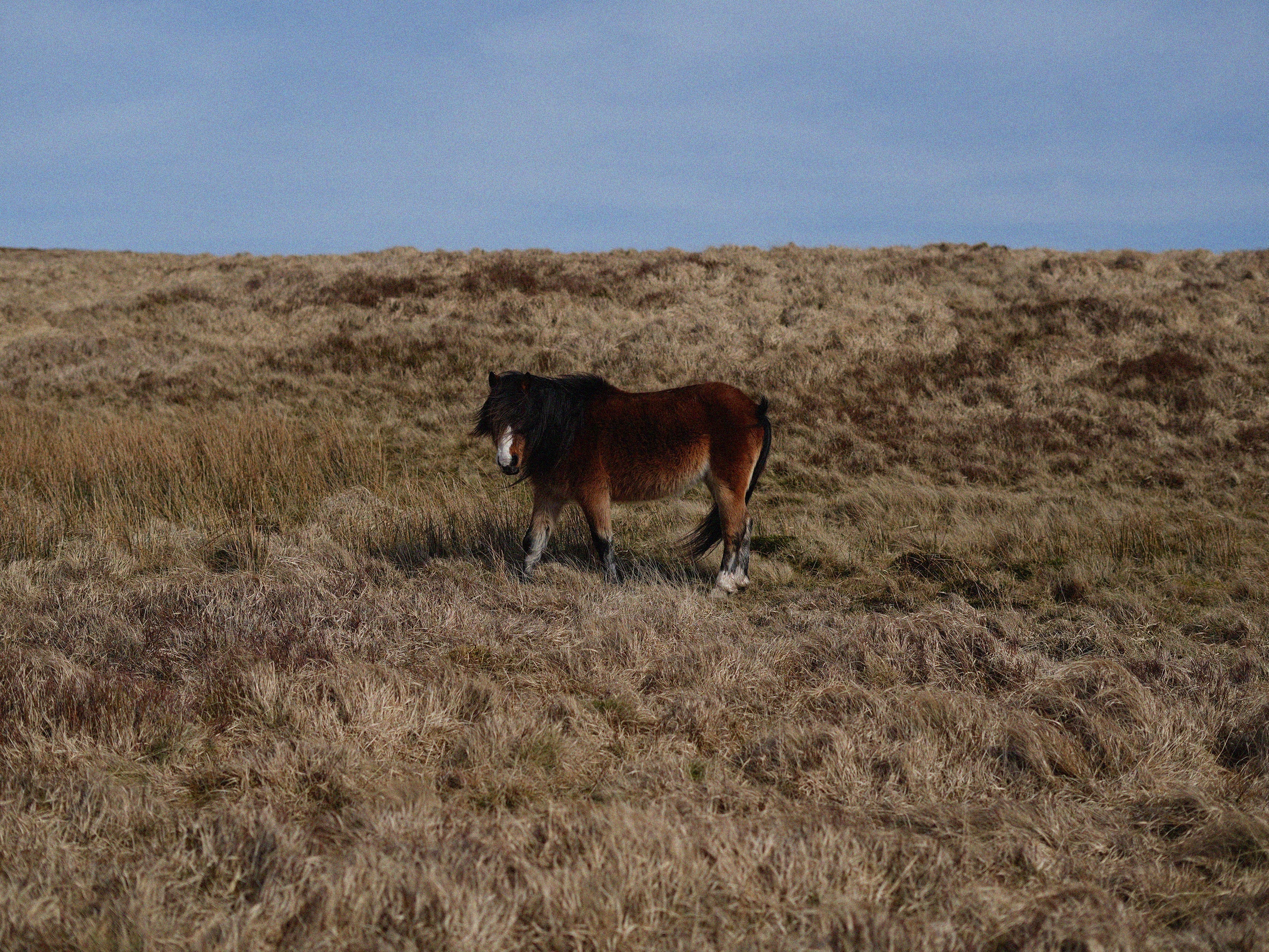 A Guide to Exploring the Brecon Beacons and Beyond