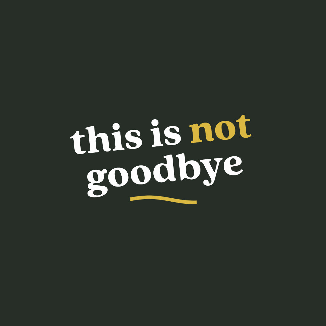 GPSR: Shipping to the EU and Northern Ireland is on hiatus
