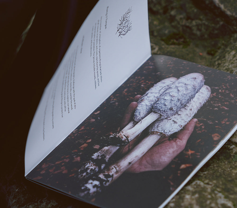Ffwng: A Photographic Celebration of Nature's Hidden Marvels