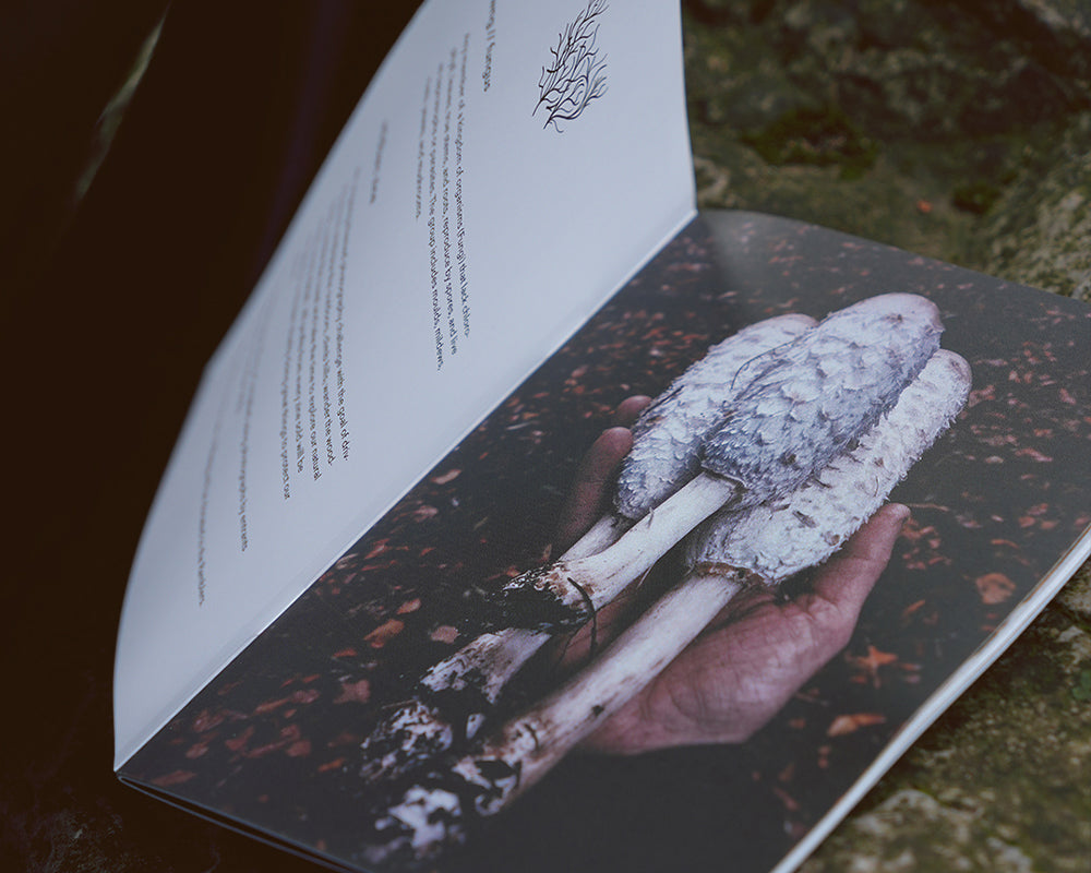 Ffwng: A Photographic Celebration of Nature's Hidden Marvels