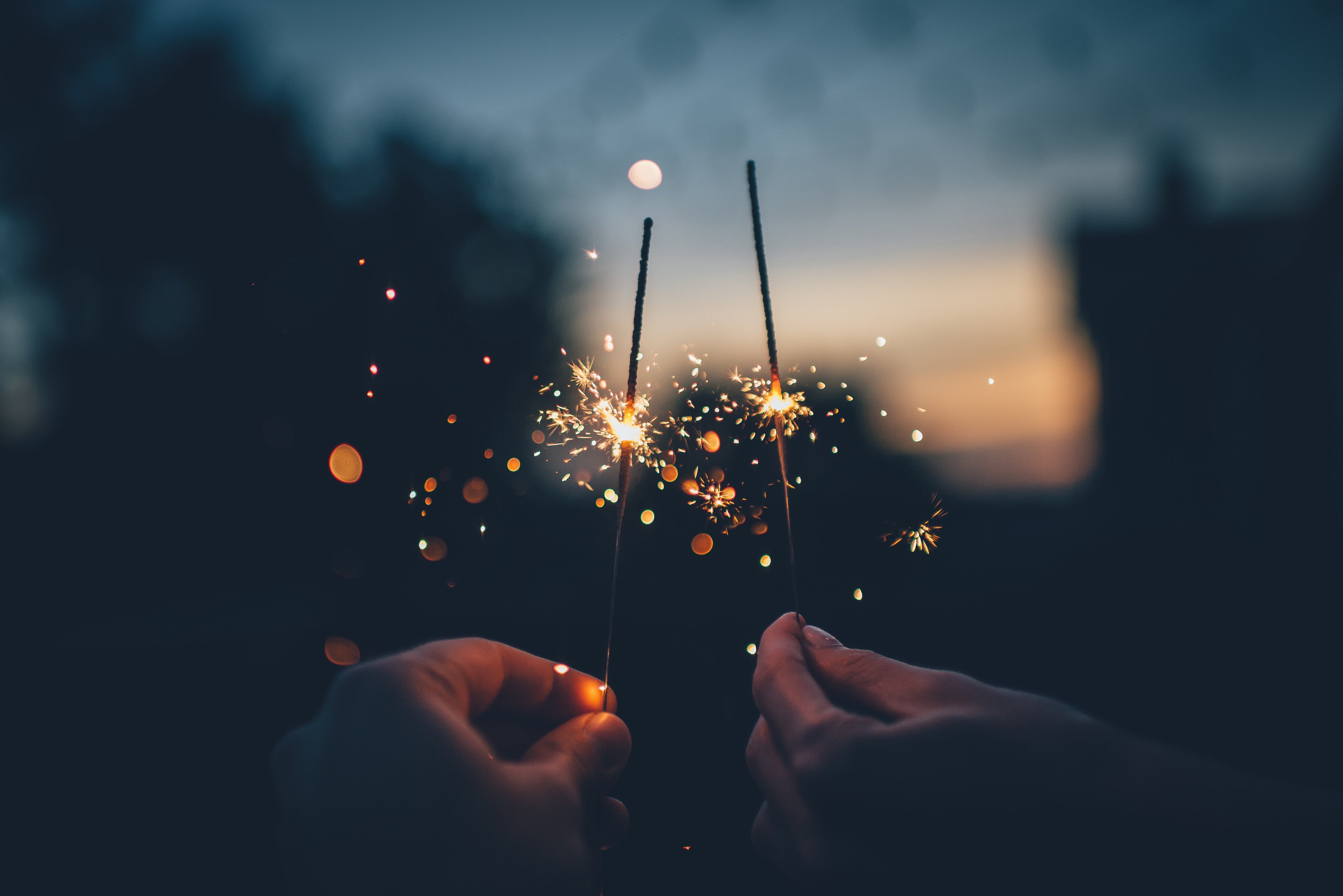How to calm your dog during firework season
