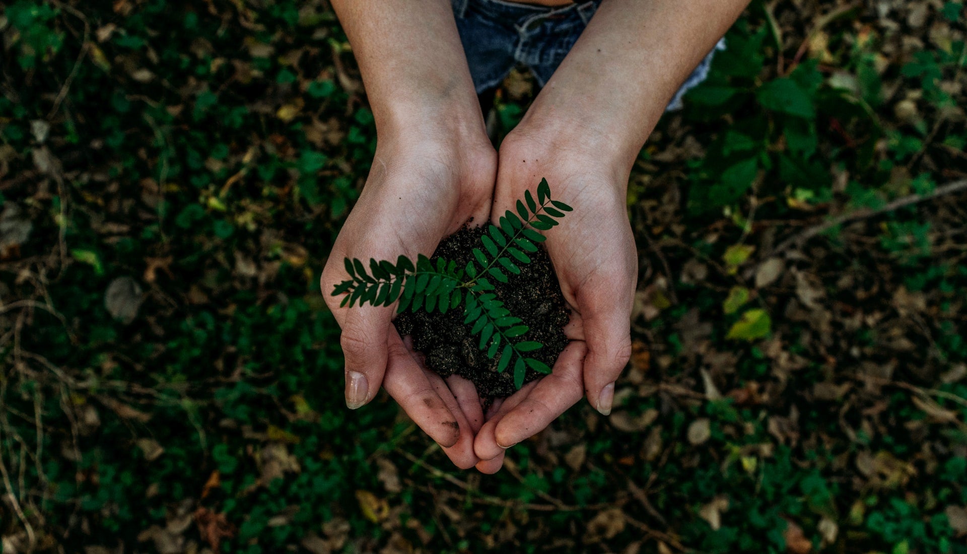 sustainable Christmas shopping ideas