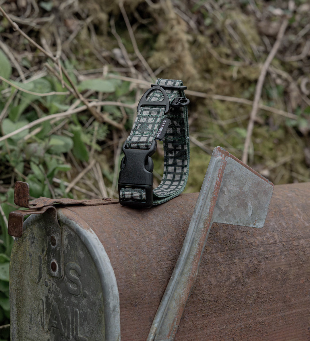 Outpost: Inspired buy a coastal hike with unexpected discoveries.