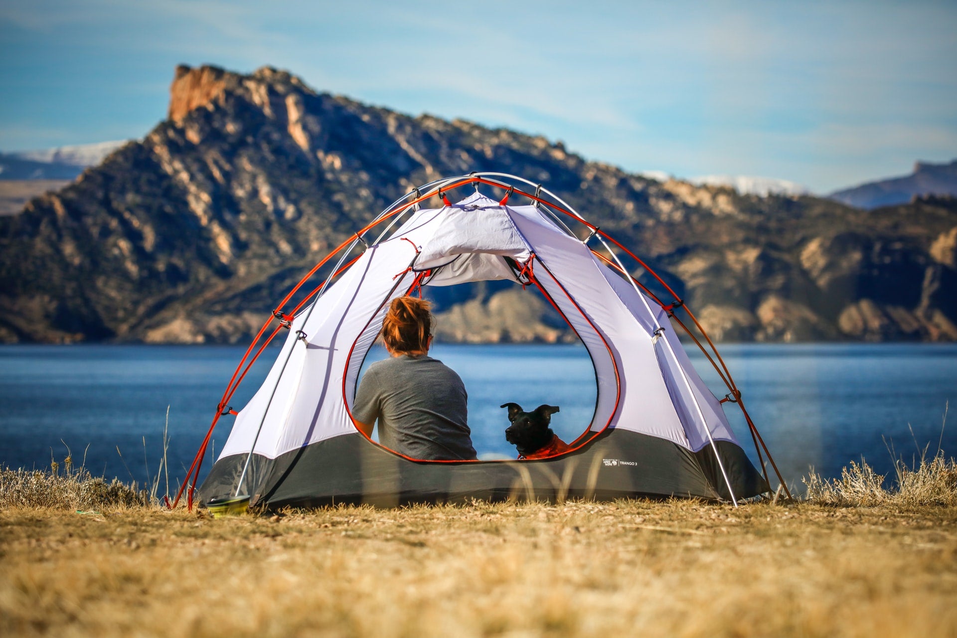Camping with a dog