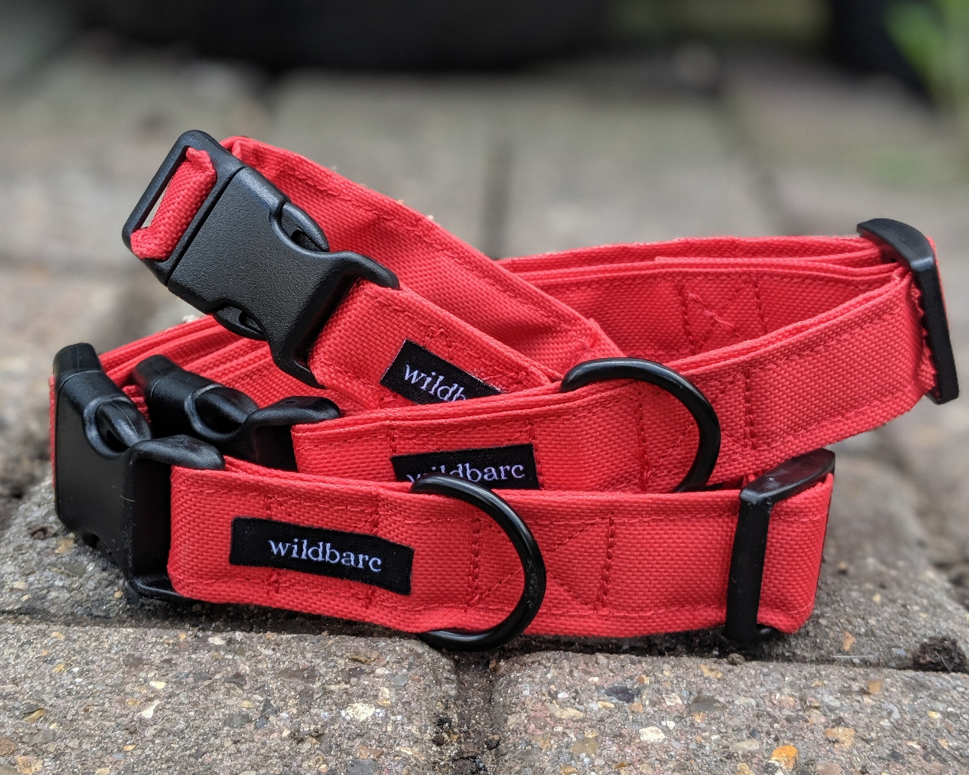 How to measure your dogs neck for a collar