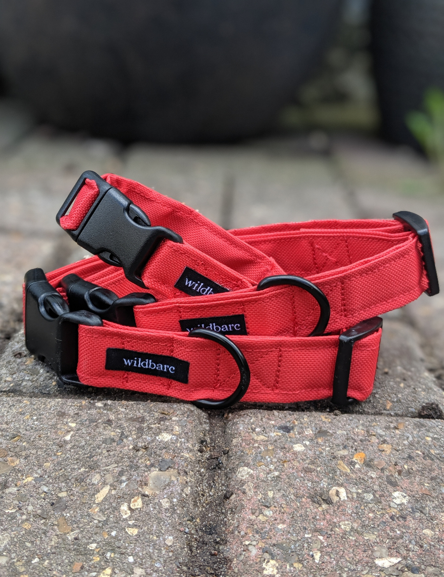 How to measure your dogs neck for a collar