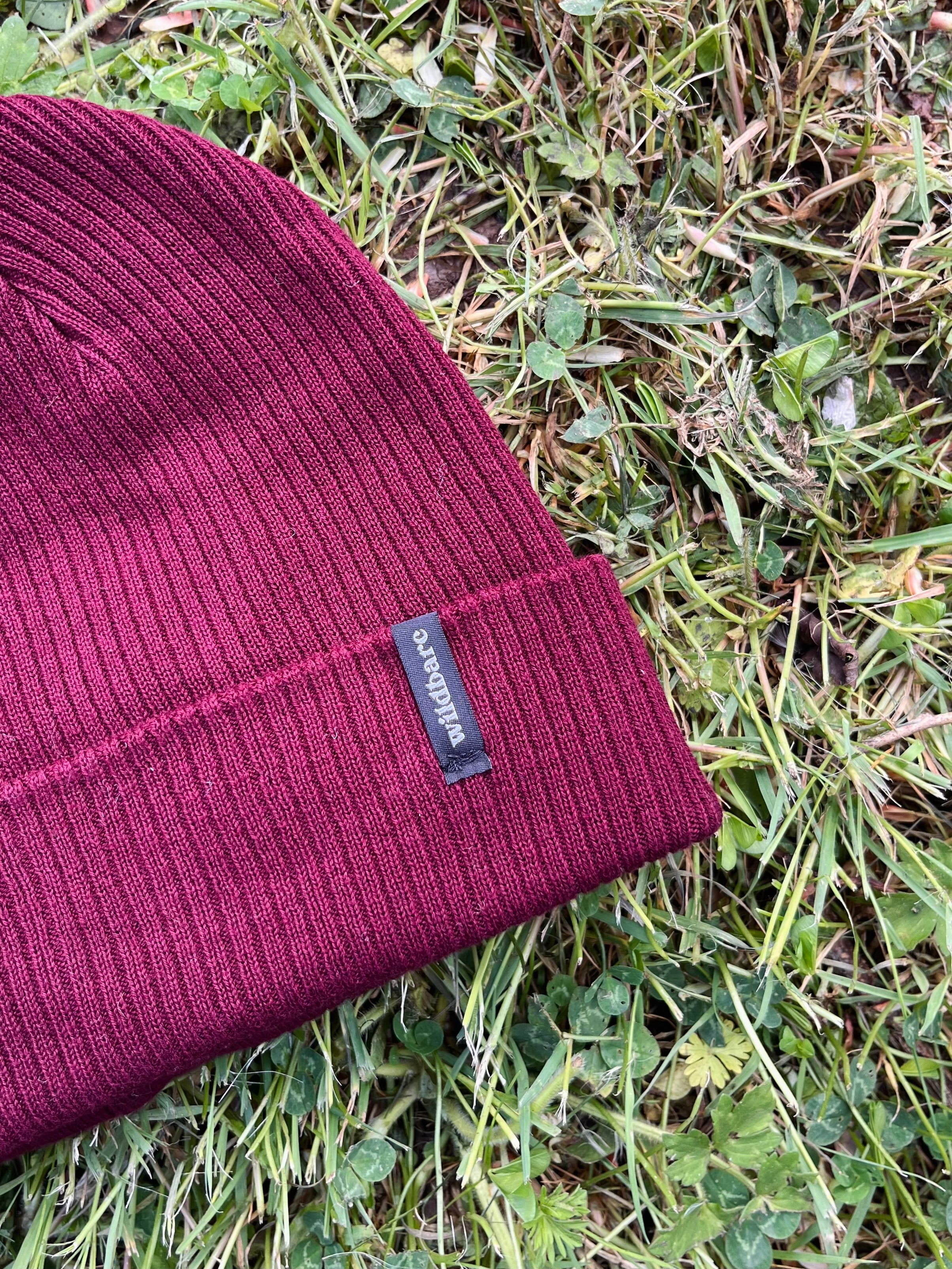 Explorer Beanie