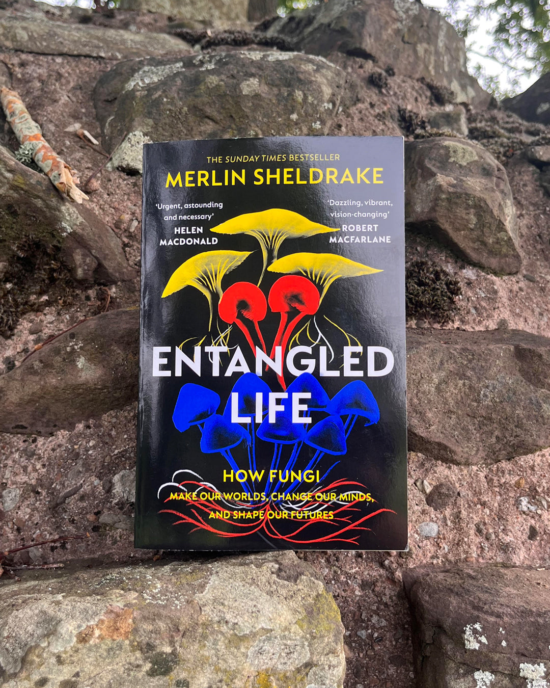 Entangled Life