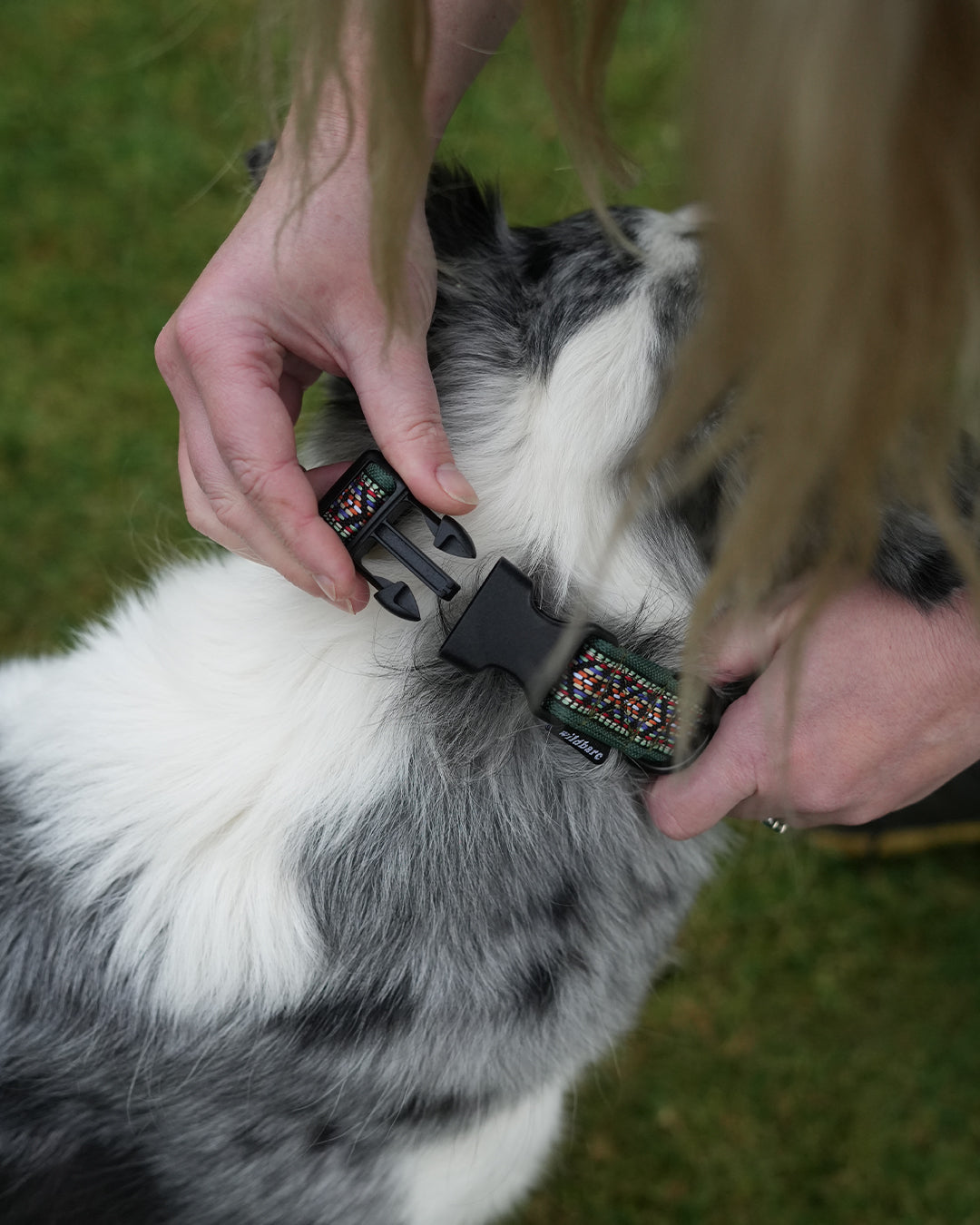 GreenSerenDogCollarClip.jpg