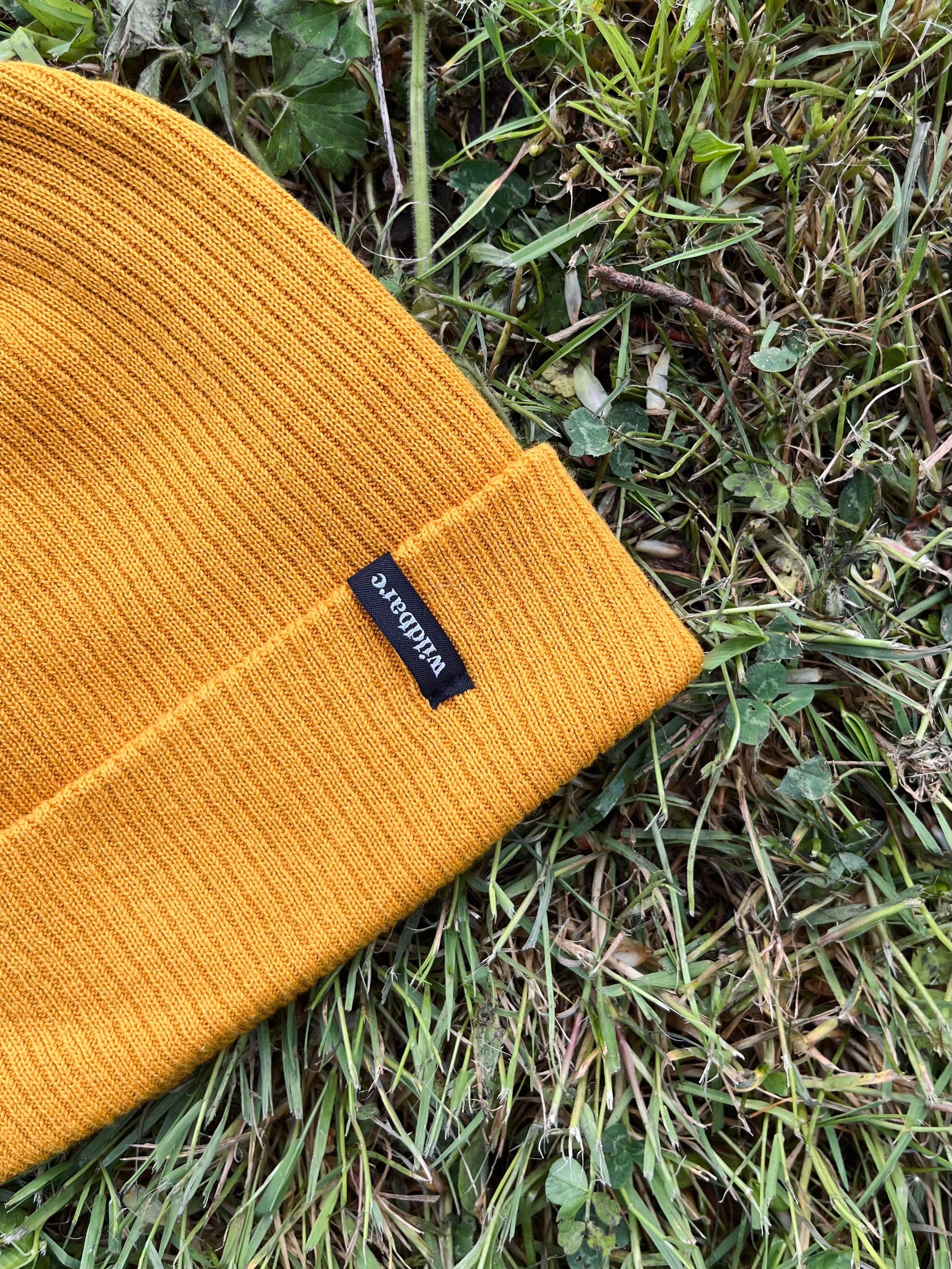 Explorer Beanie