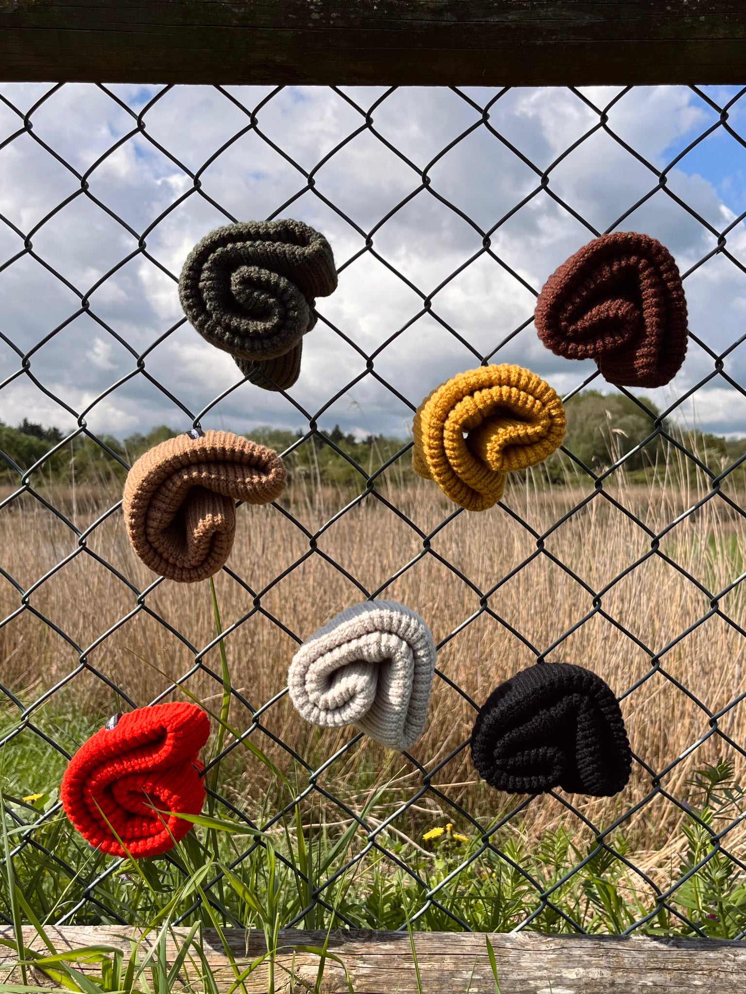 Harbour Beanie