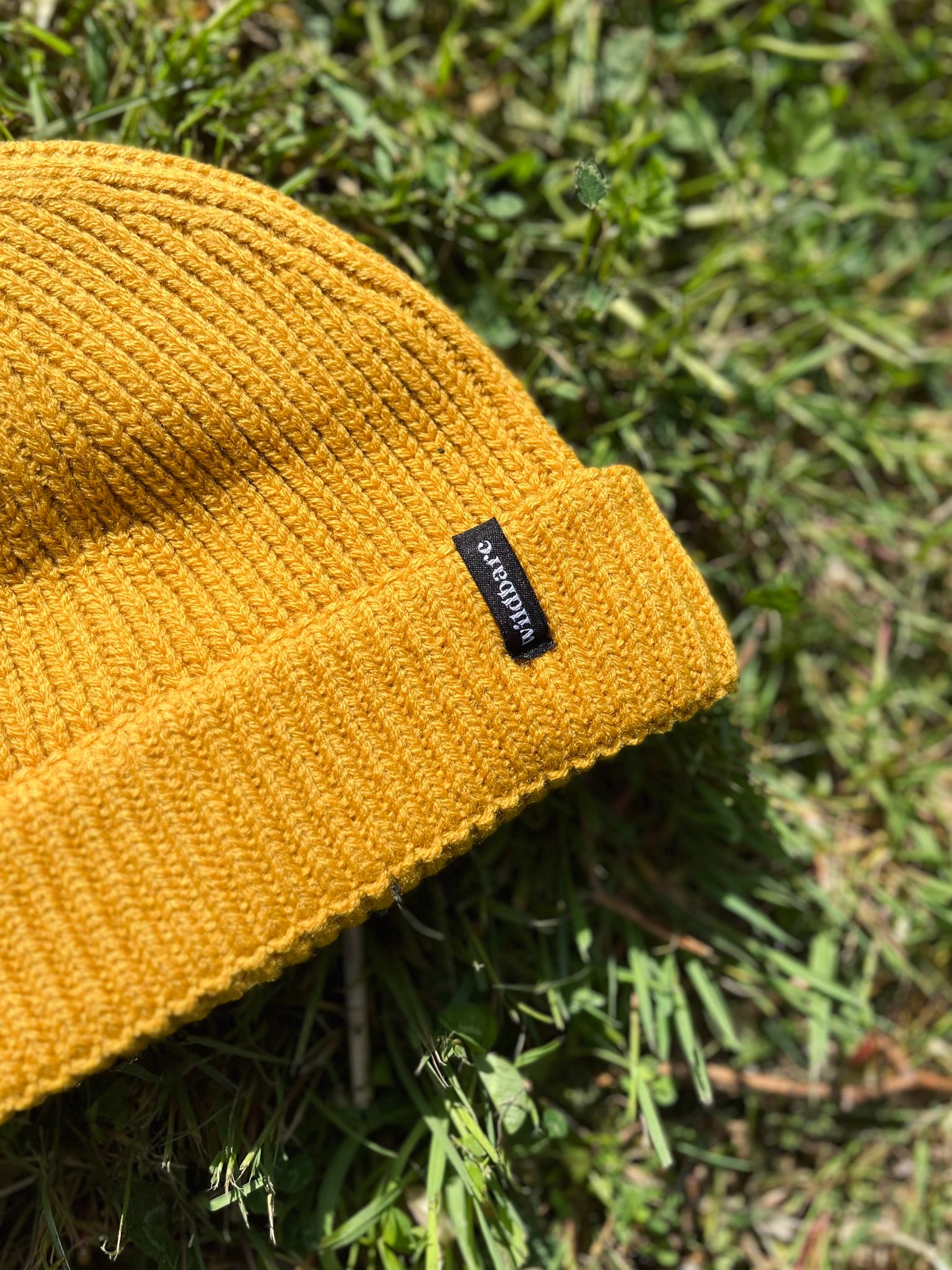 Harbour Beanie