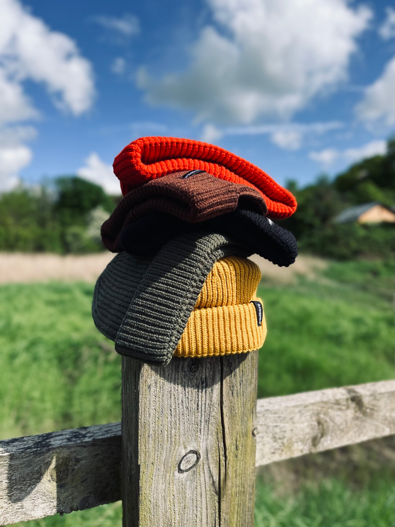 Harbour Beanie