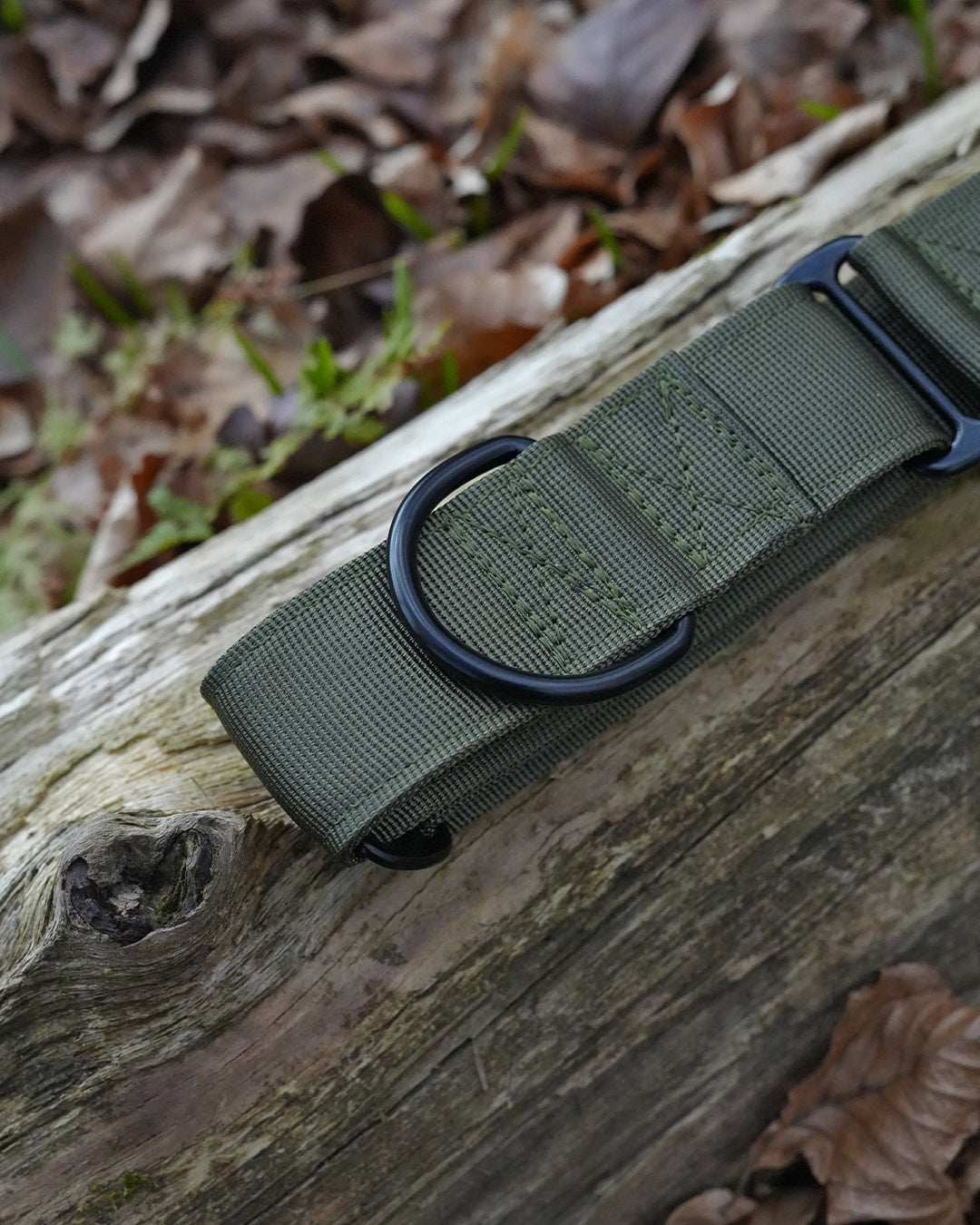 Army Green Waterproof Martingale Dog Collar