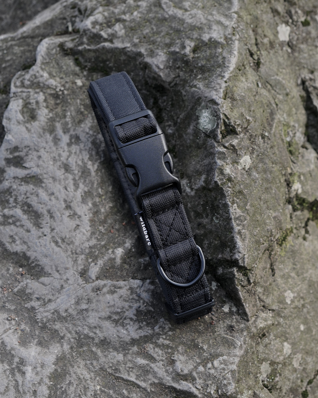 Black Dog Collar