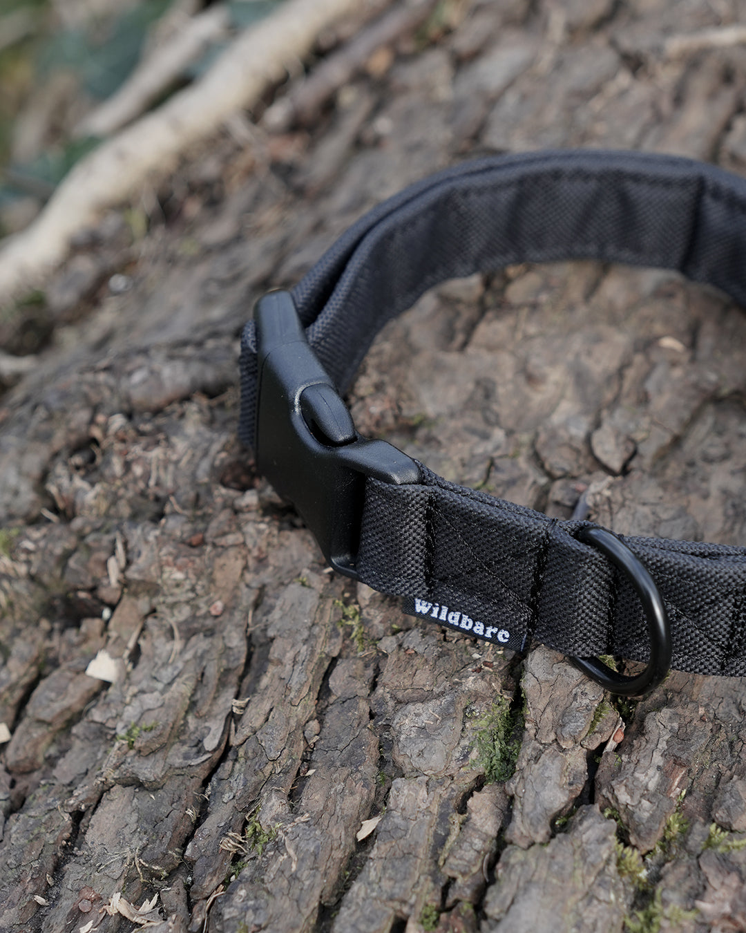 Black Dog Collar