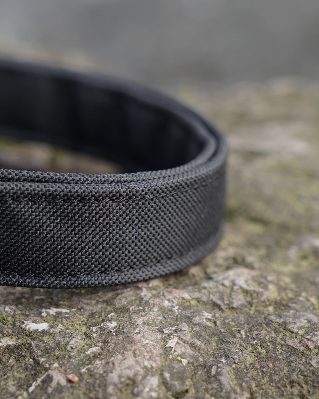 Black Dog Collar
