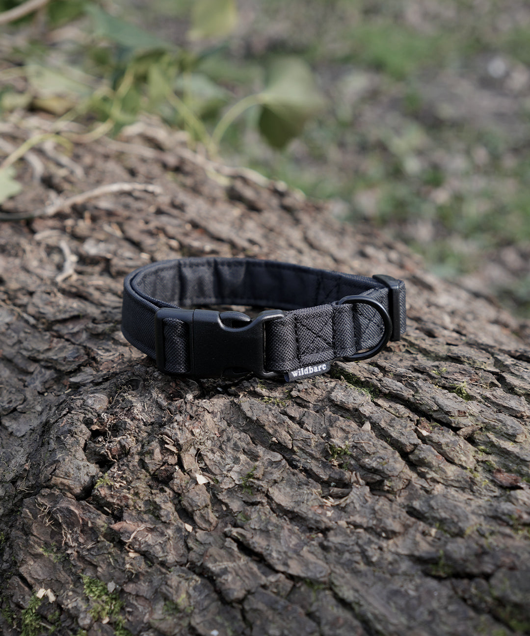 black-dog-collar.jpg
