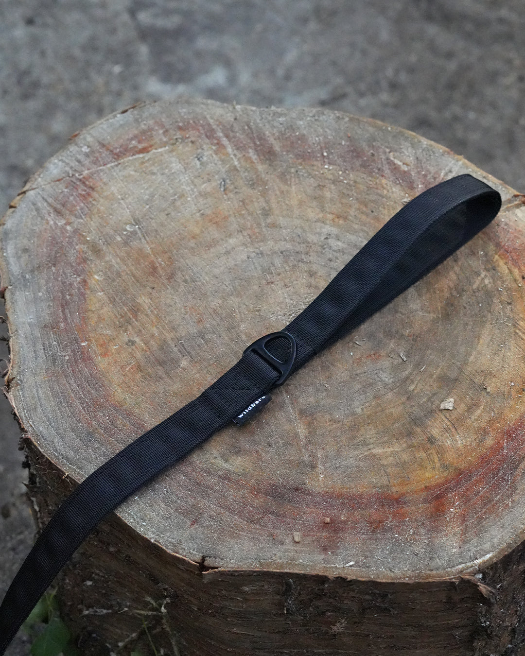 Black Waterproof Dog Lead