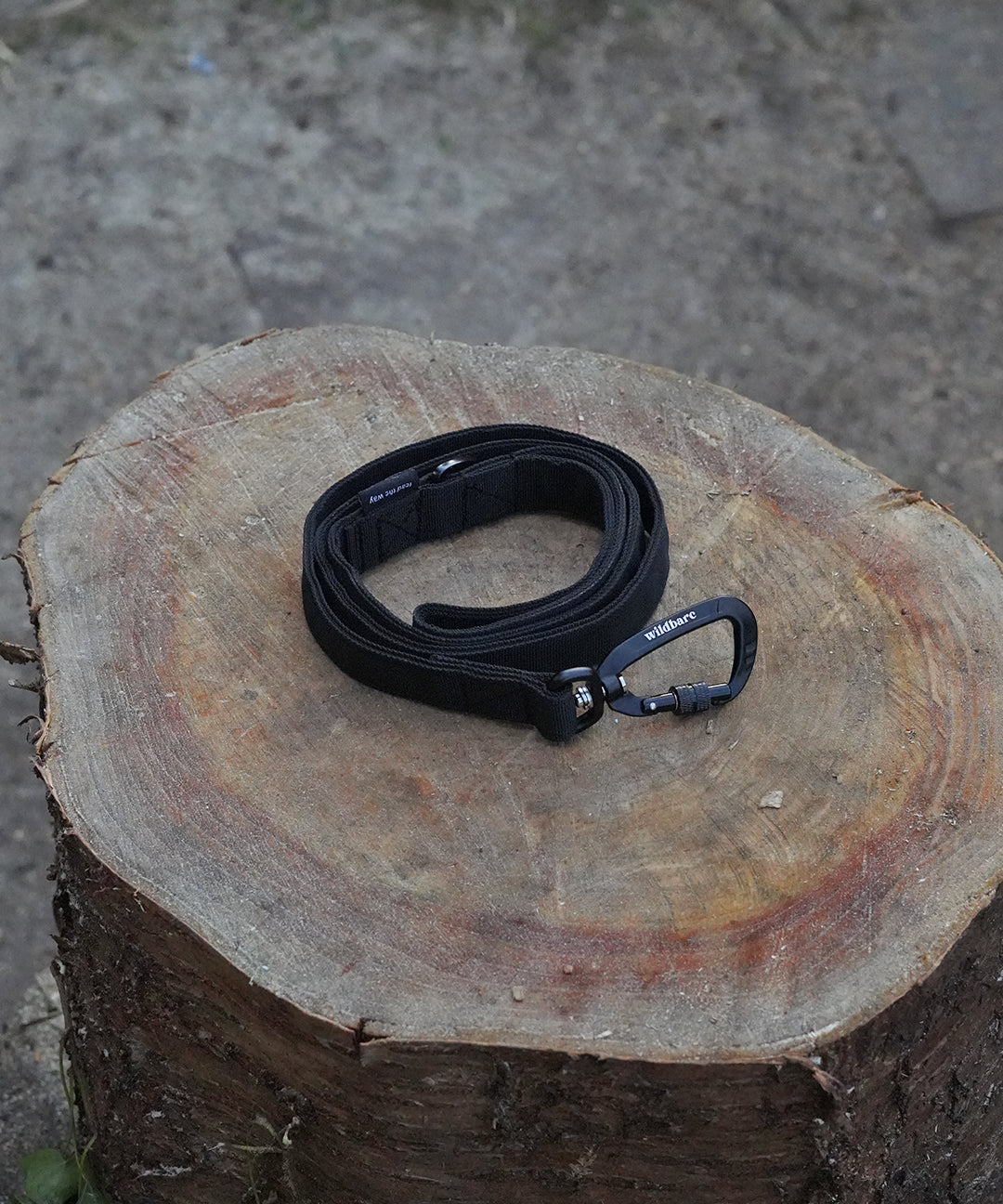 black-dog-lead-two.jpg
