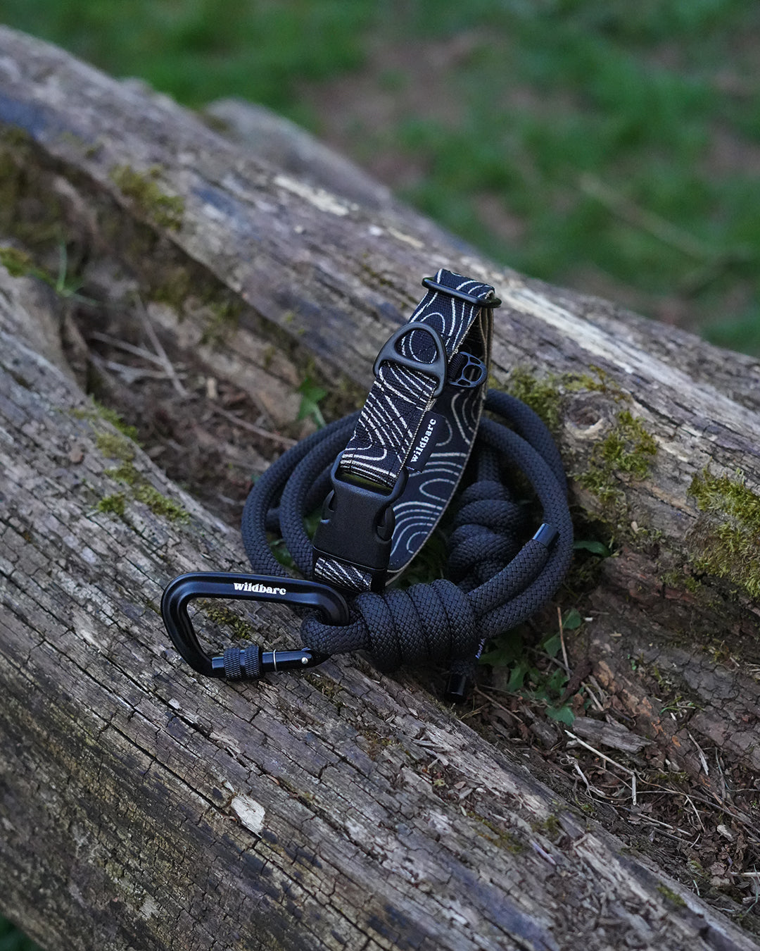 black-five.jpg