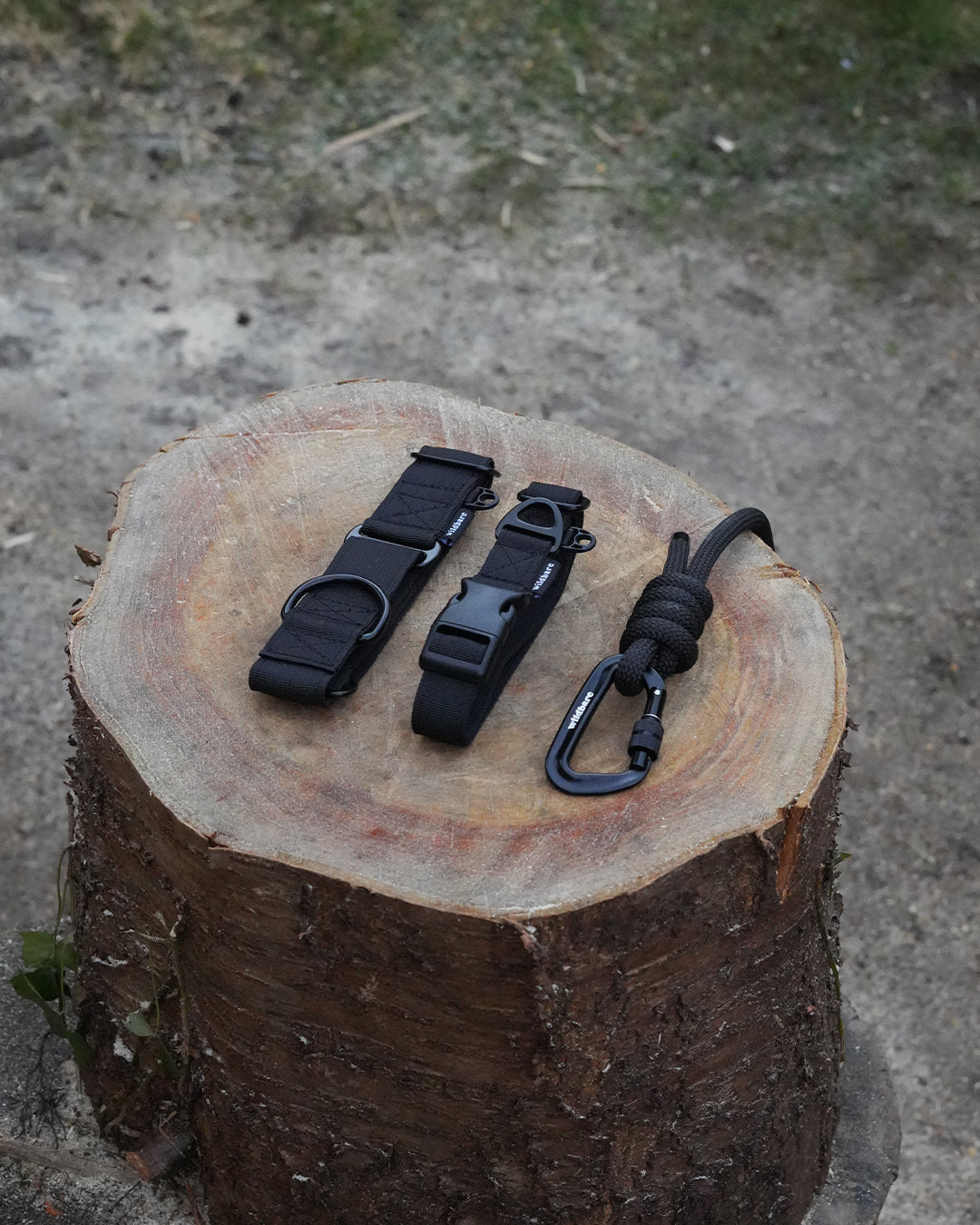 Black Mountains Climbing Rope Dog Lead