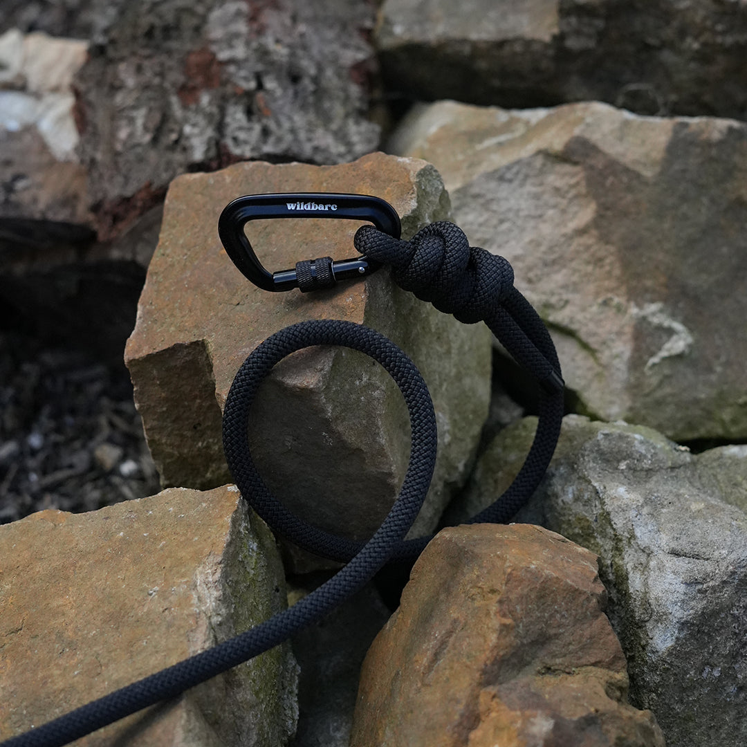 black-mountains-rope-lead-two.jpg