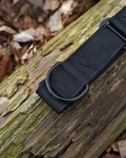 Black Waterproof Martingale Dog Collar