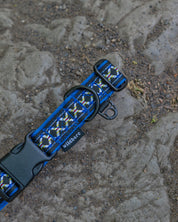 Blorenge Dog Buckle Collar