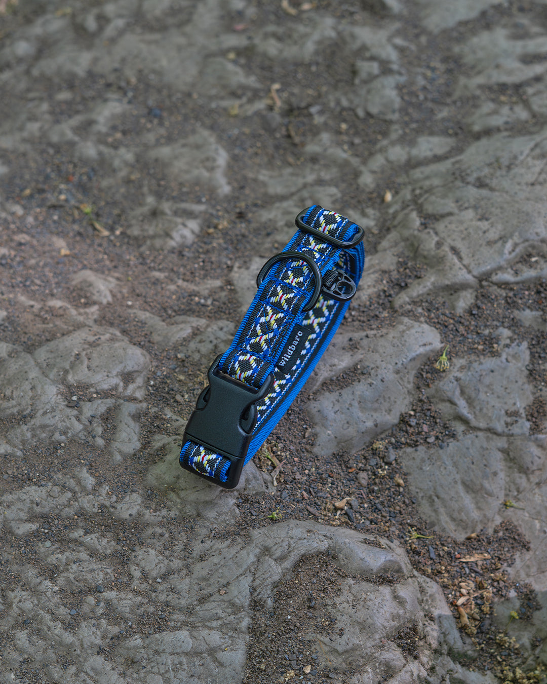 Blorenge Dog Buckle Collar