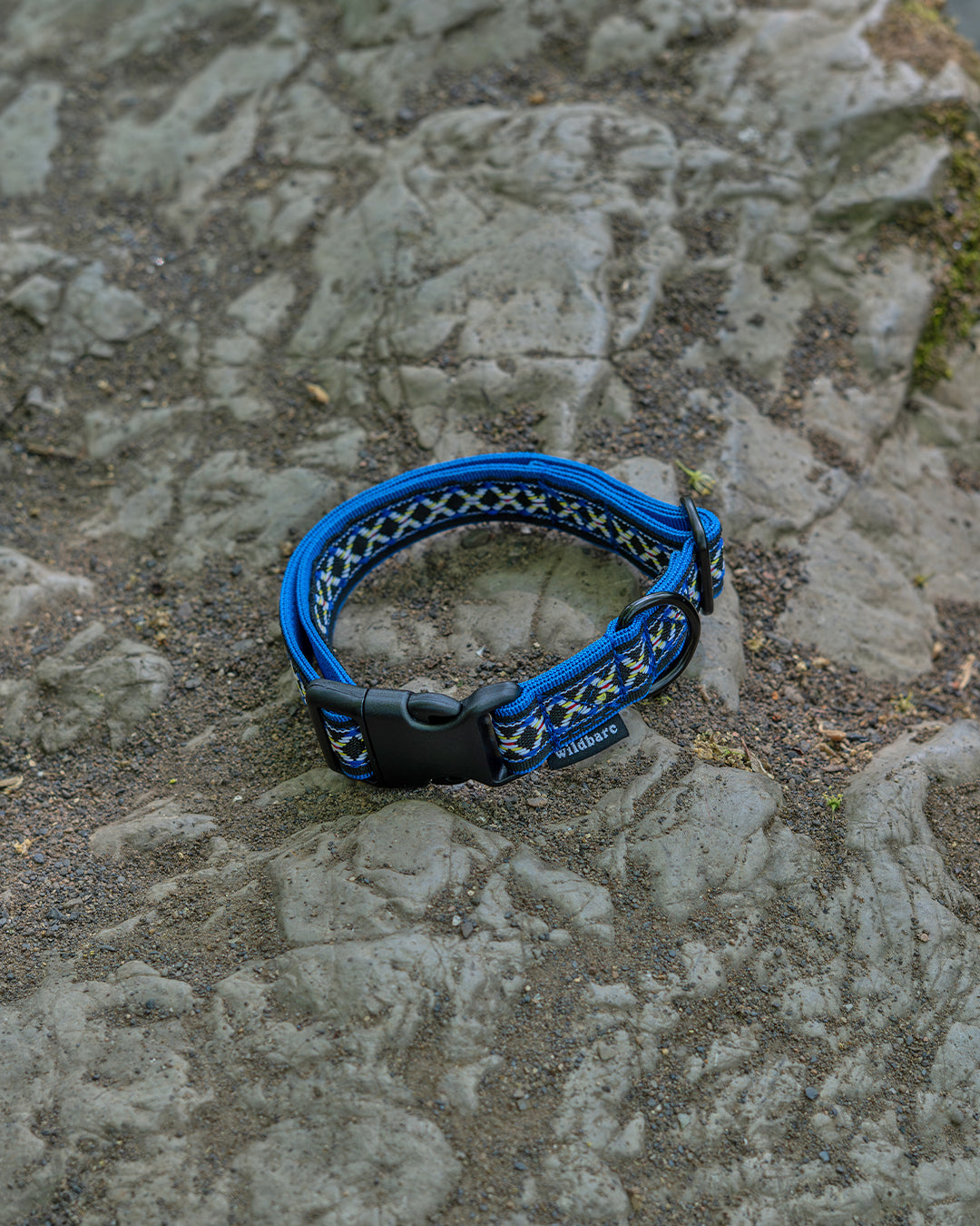 Blorenge Dog Buckle Collar