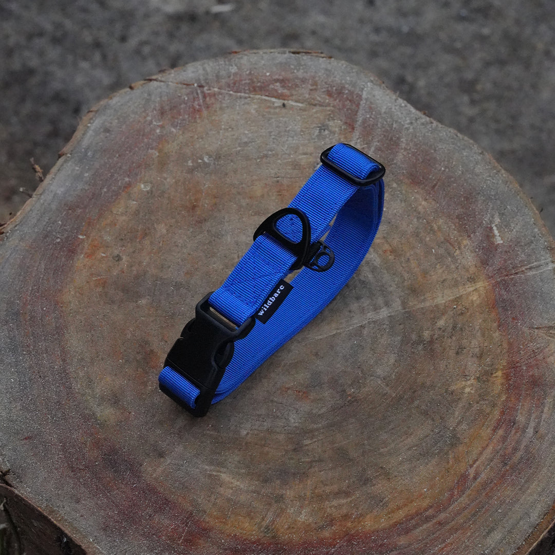 blue-collar-one.jpg