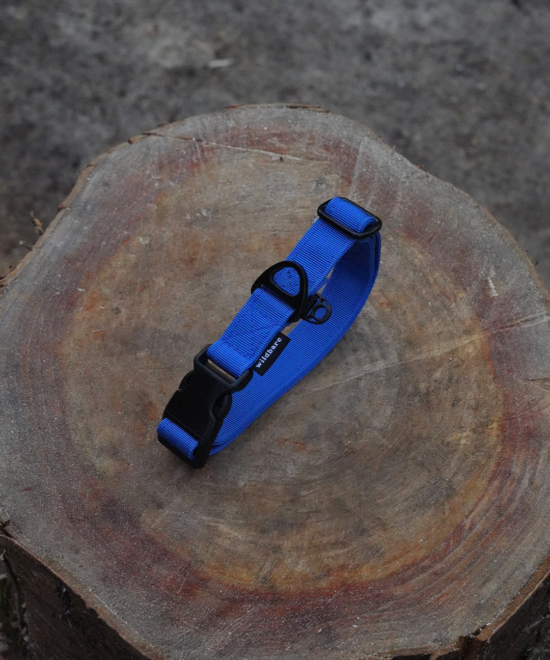 blue-collar-one.jpg