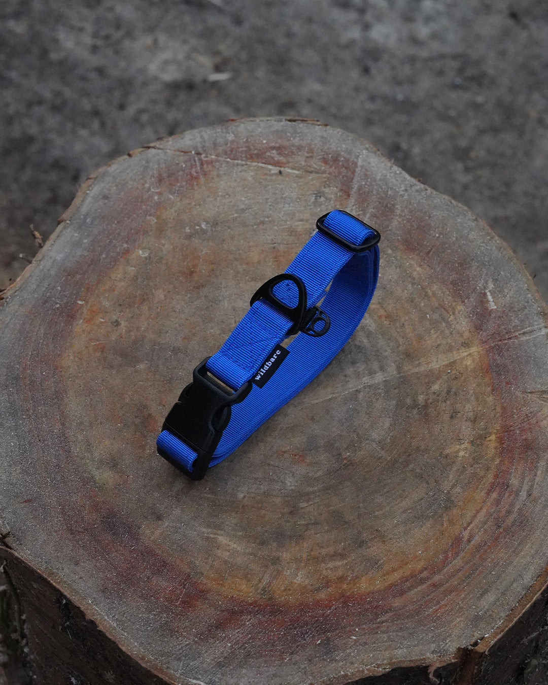 Blue Waterproof Dog Collar